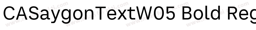 CASaygonTextW05 Bold Regular字体转换